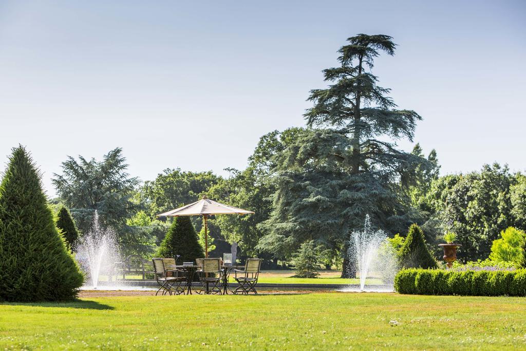 Chateau Des Tesnieres Torce Экстерьер фото