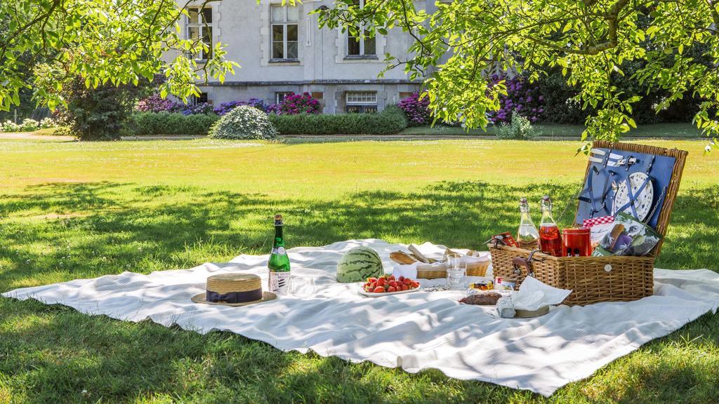 Chateau Des Tesnieres Torce Экстерьер фото