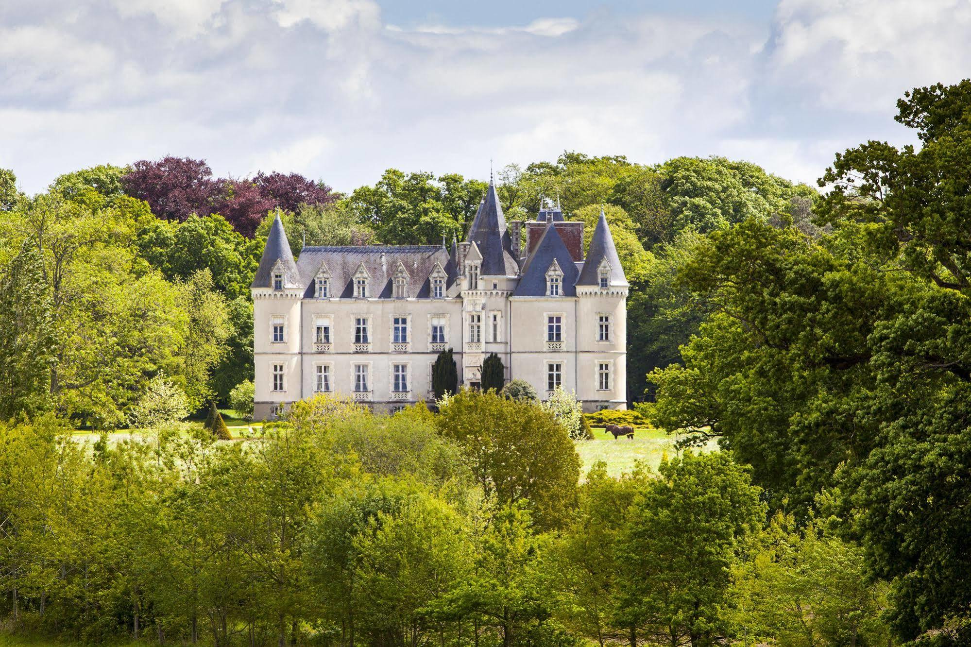 Chateau Des Tesnieres Torce Экстерьер фото